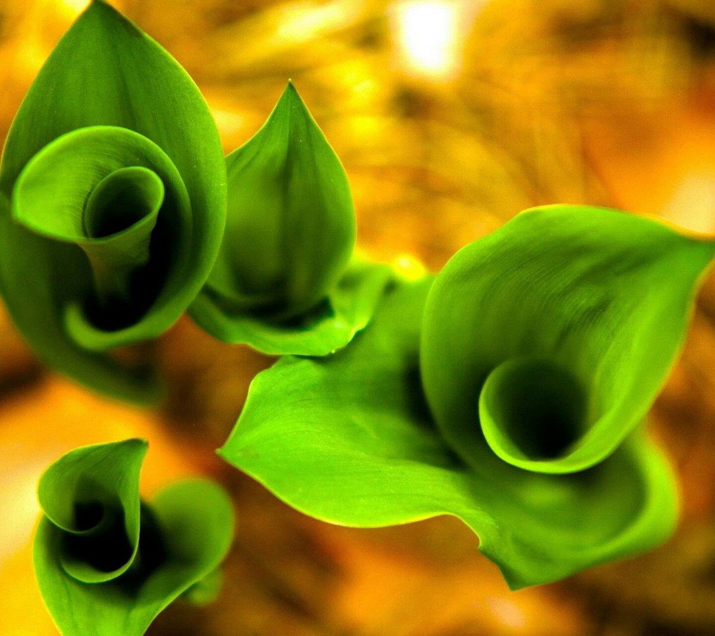 3d Wallpaper 400 * 800 - HD Wallpaper 