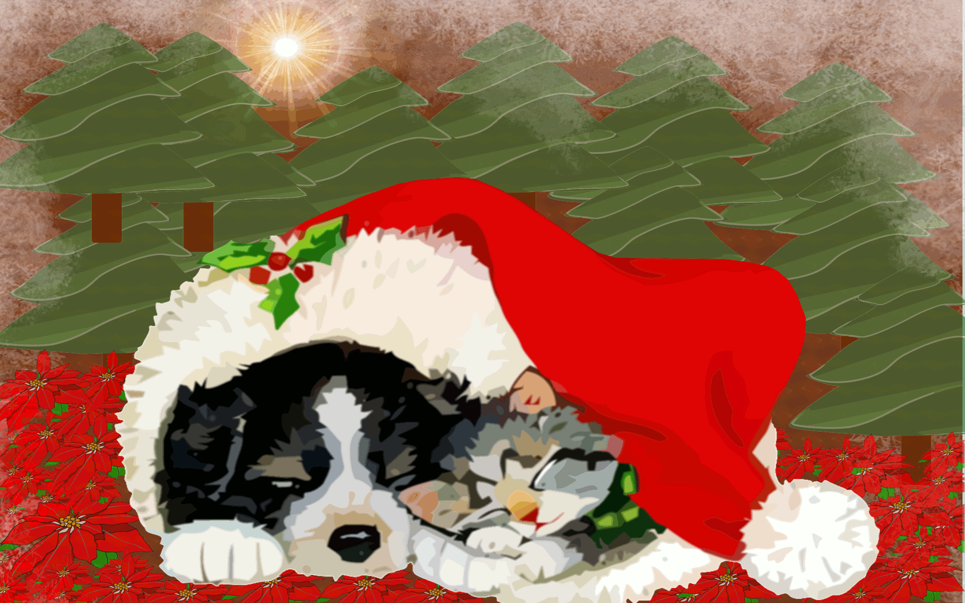 Dont Buy Pets For Christmas - HD Wallpaper 