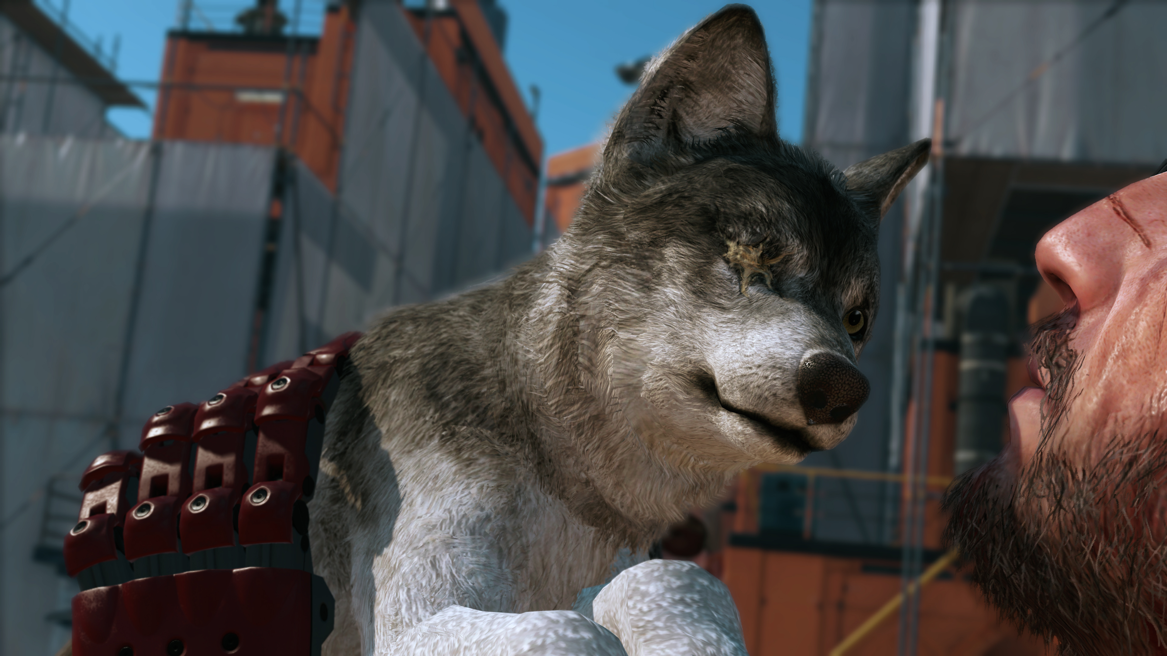 3d Dog Wallpaper - HD Wallpaper 
