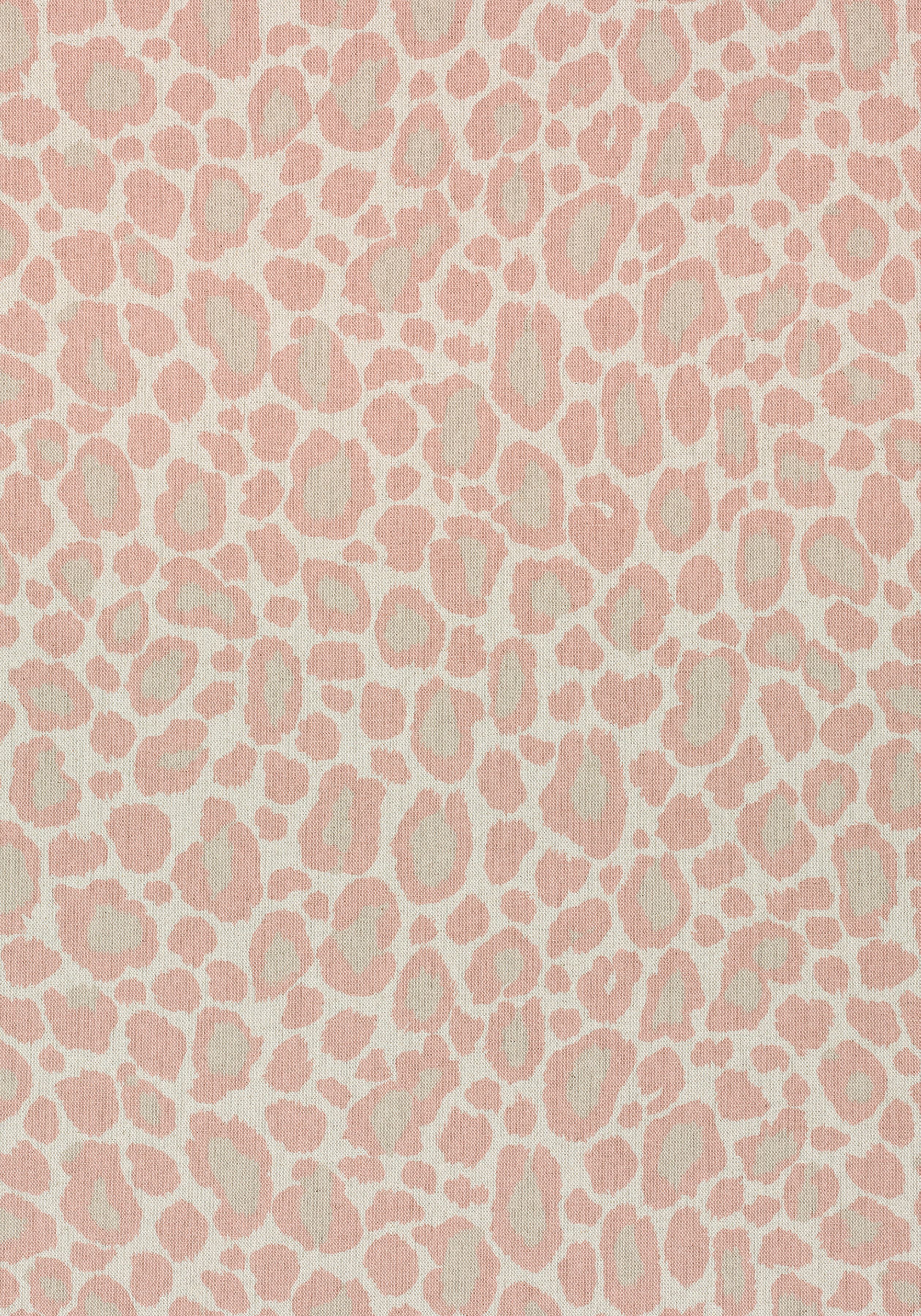 Wallpaper - HD Wallpaper 