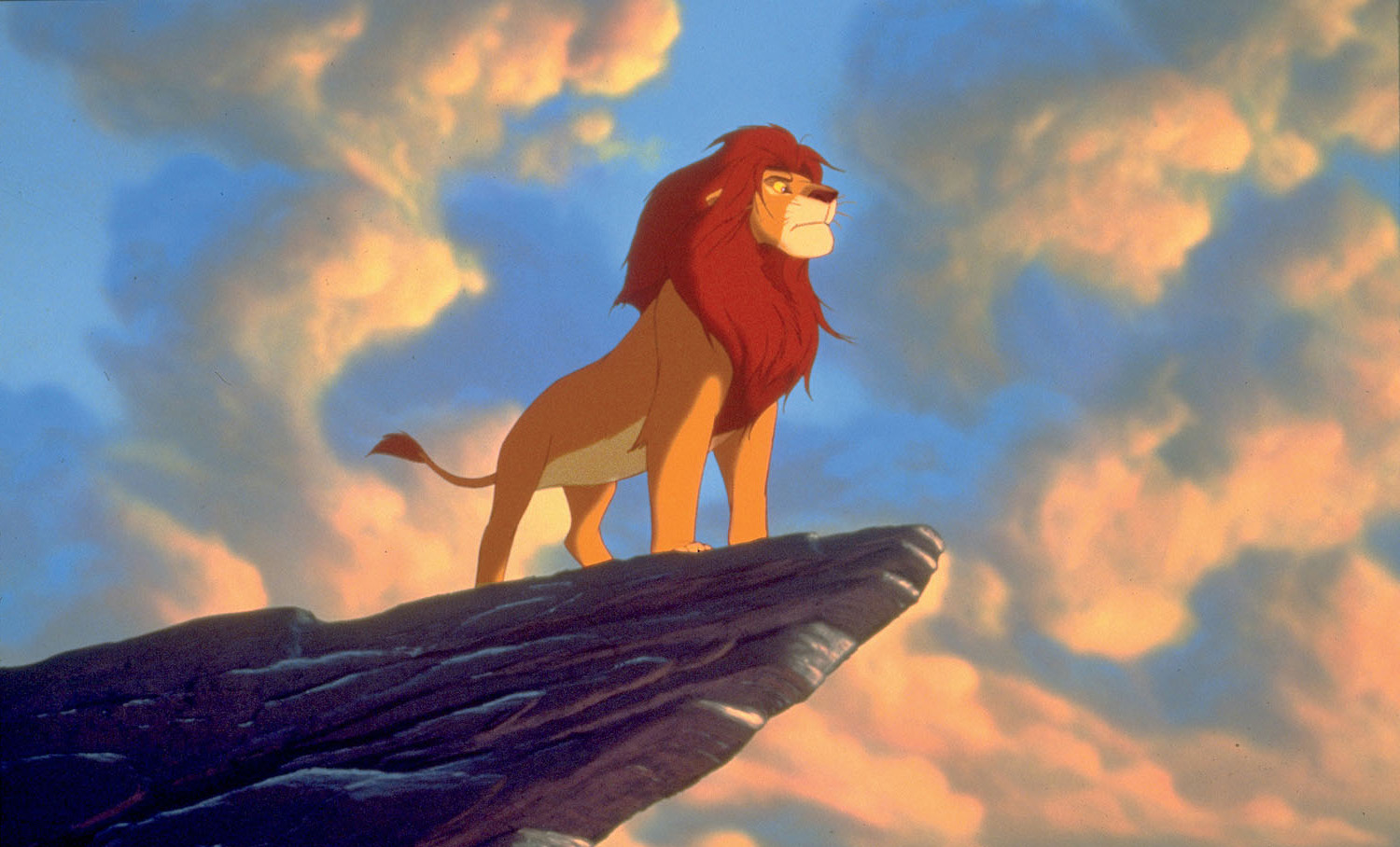 The Lion King Hd Wallpaper - High Resolution Lion King Wallpaper Hd - HD Wallpaper 