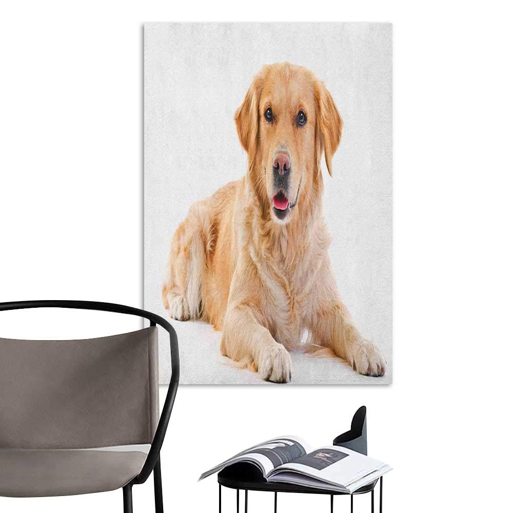 Golden Retriever - HD Wallpaper 