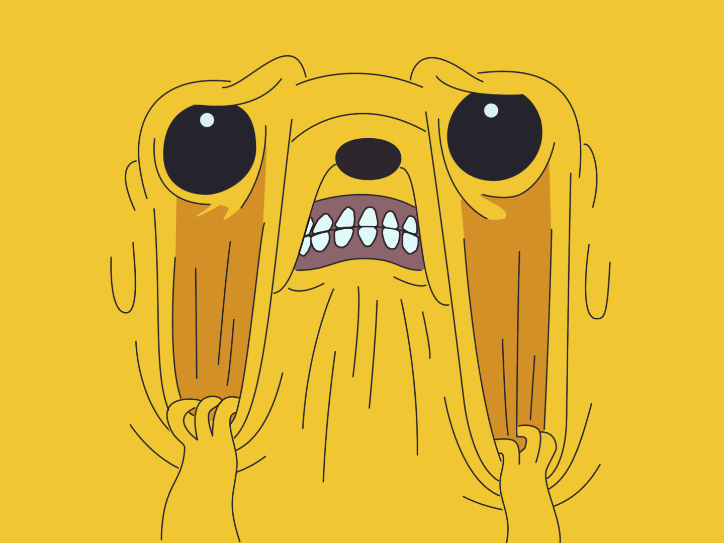 Dog Pictures Animated Download - Jake The Dog Wallpaper Hd - HD Wallpaper 