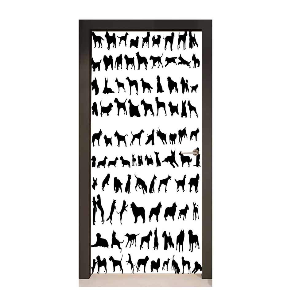 Squirrel - HD Wallpaper 