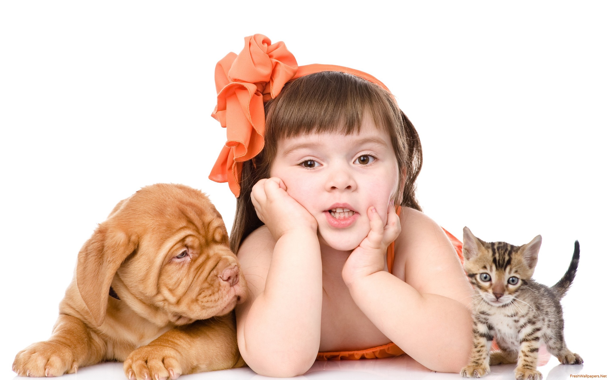Girl With Cat & Dog - HD Wallpaper 