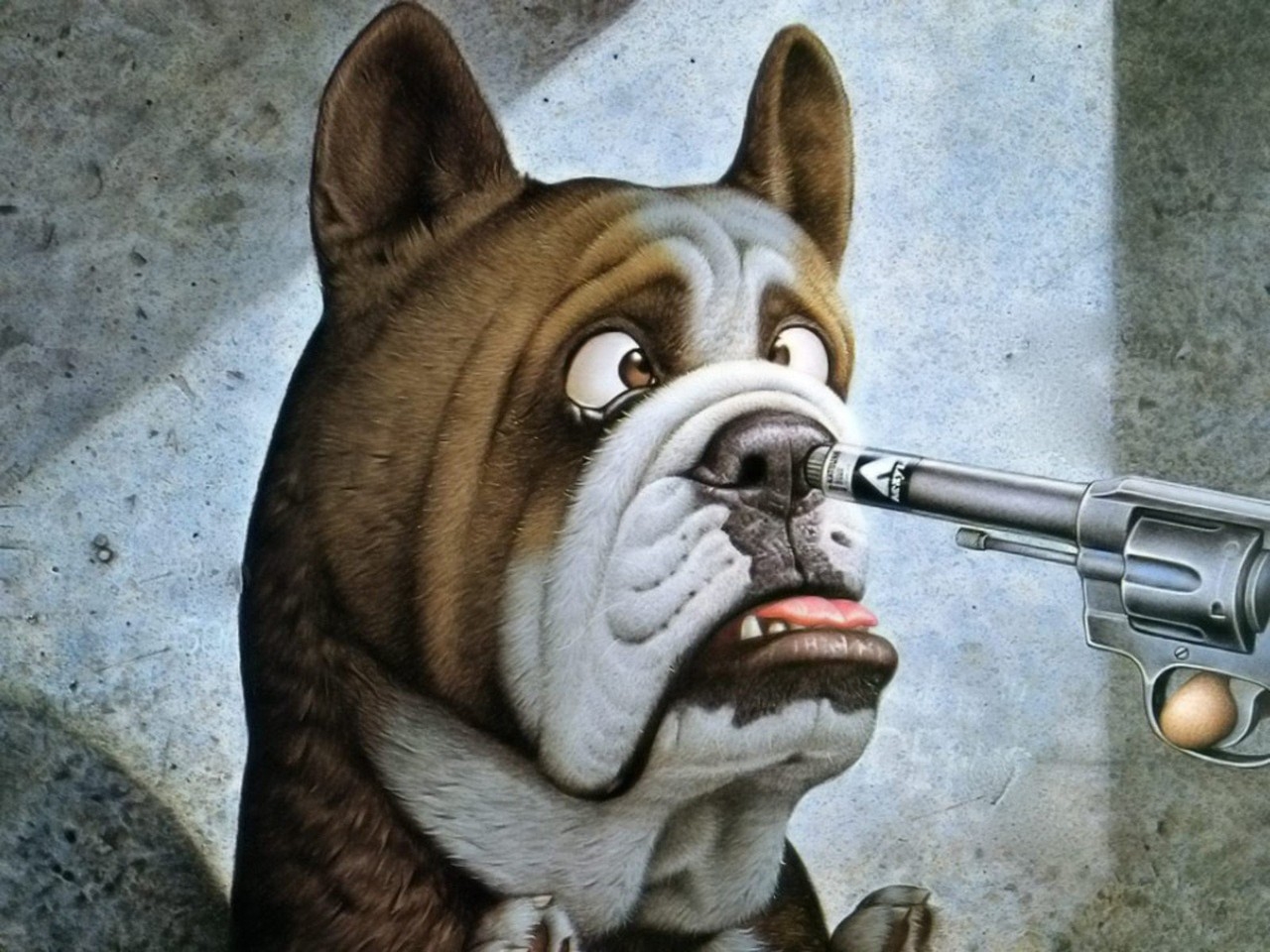 Funny Dog With Gun - HD Wallpaper 