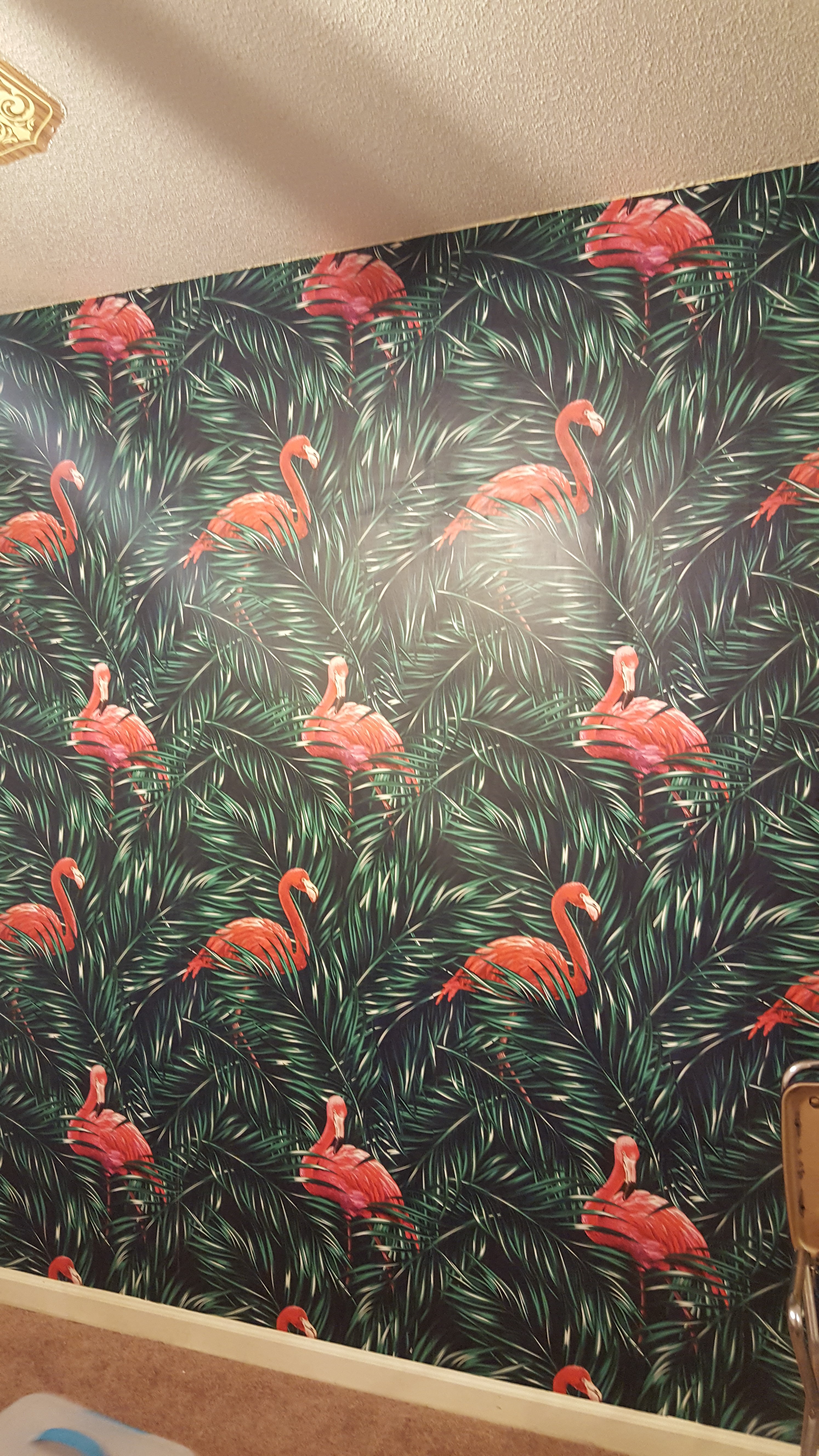 Wallpaper Accent Wall Flamingo Nursery Flamingos Milton - Tiger Lily - HD Wallpaper 