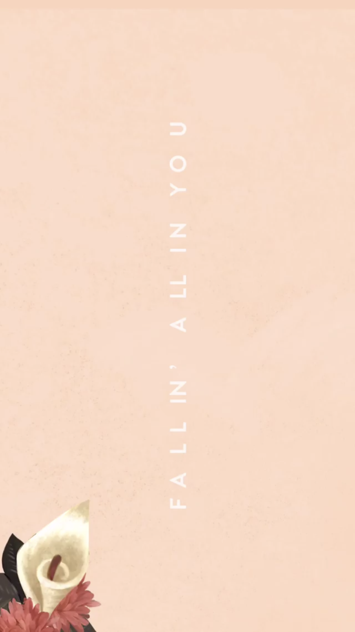 Wonton - HD Wallpaper 