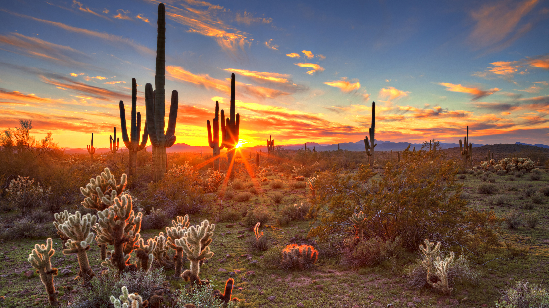 Phoenix Arizona - 1920x1080 Wallpaper Phoenix Arizona - 1920x1080 Wallpaper