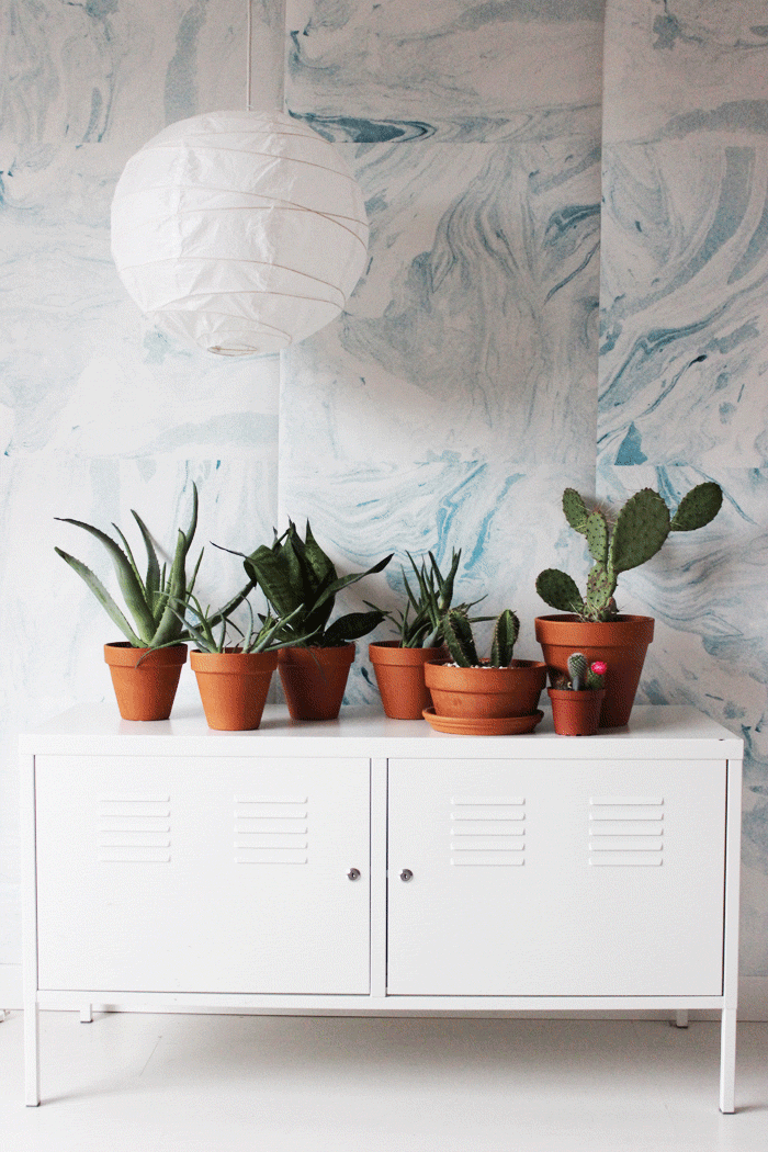 Houseplant 700x1050 Wallpaper teahub.io