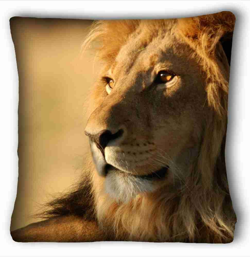 Wild Lion Background - HD Wallpaper 