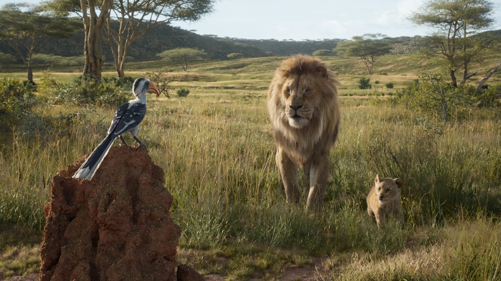 Lion King 2019 4k - HD Wallpaper 