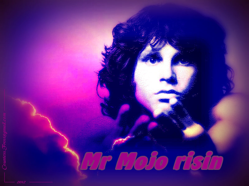 Mr Mojo Risin - Jim Morrison - HD Wallpaper 