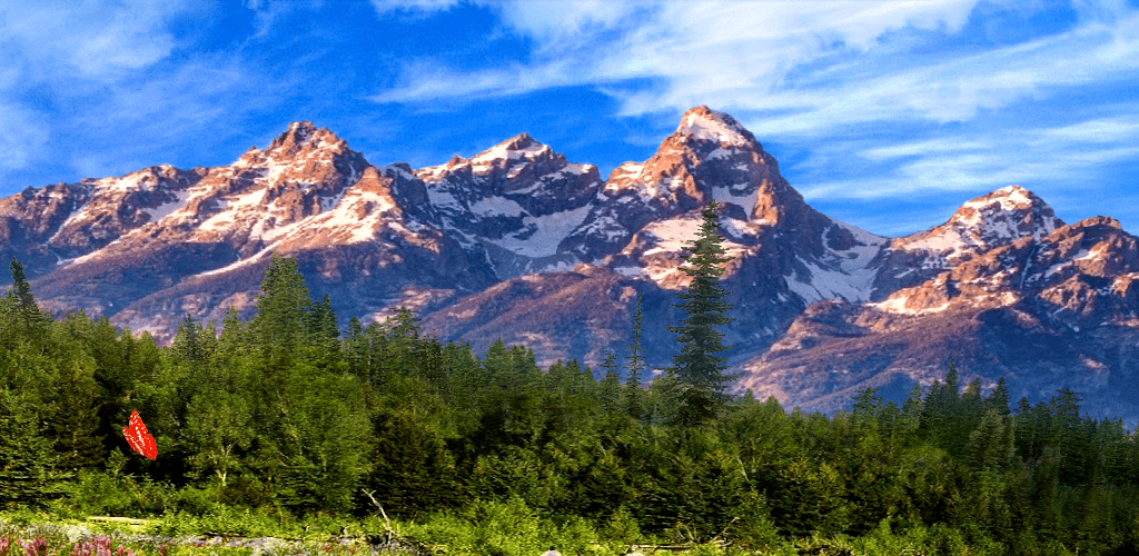 Google Animated Spring Landscapes - HD Wallpaper 