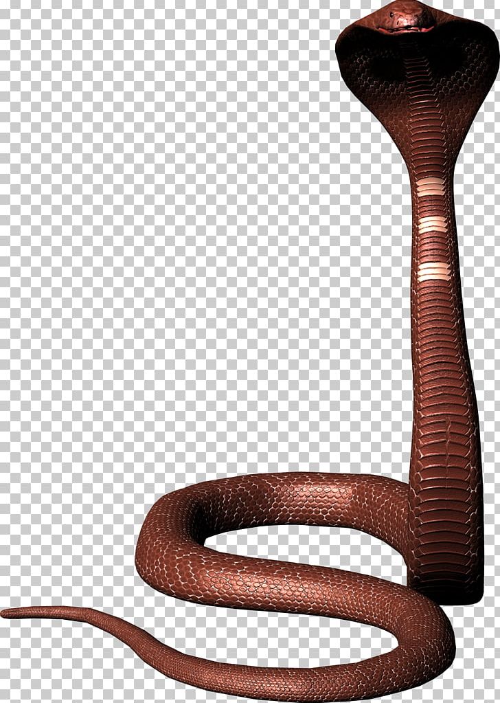 Snake Reptile King Cobra Indian Cobra Png, Clipart, - Png T Shirt Galaxy - HD Wallpaper 