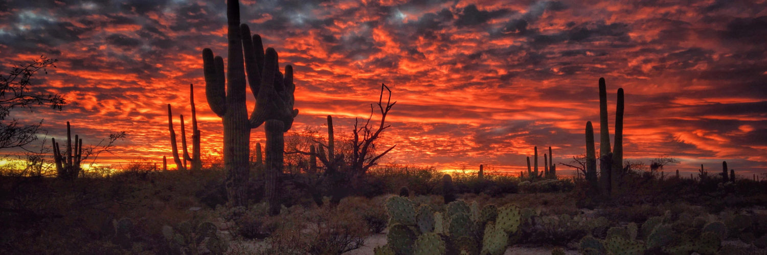 Az Dec Statewide Leadership - High Resolution Arizona Sunset - HD Wallpaper 