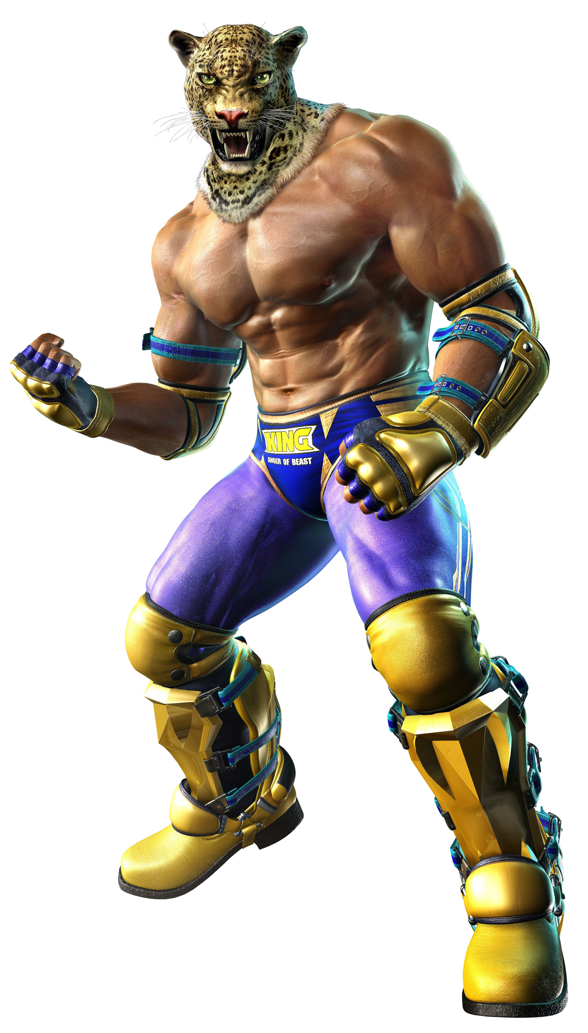 Tekken 3 Characters King - HD Wallpaper 