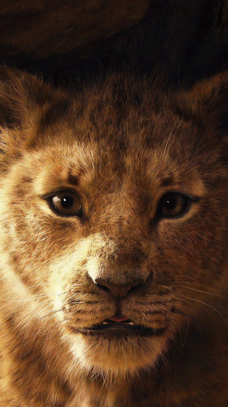 Simba, The Lion King, 2019 Movie, Wallpaper - Lion King 2019 Phone - HD Wallpaper 