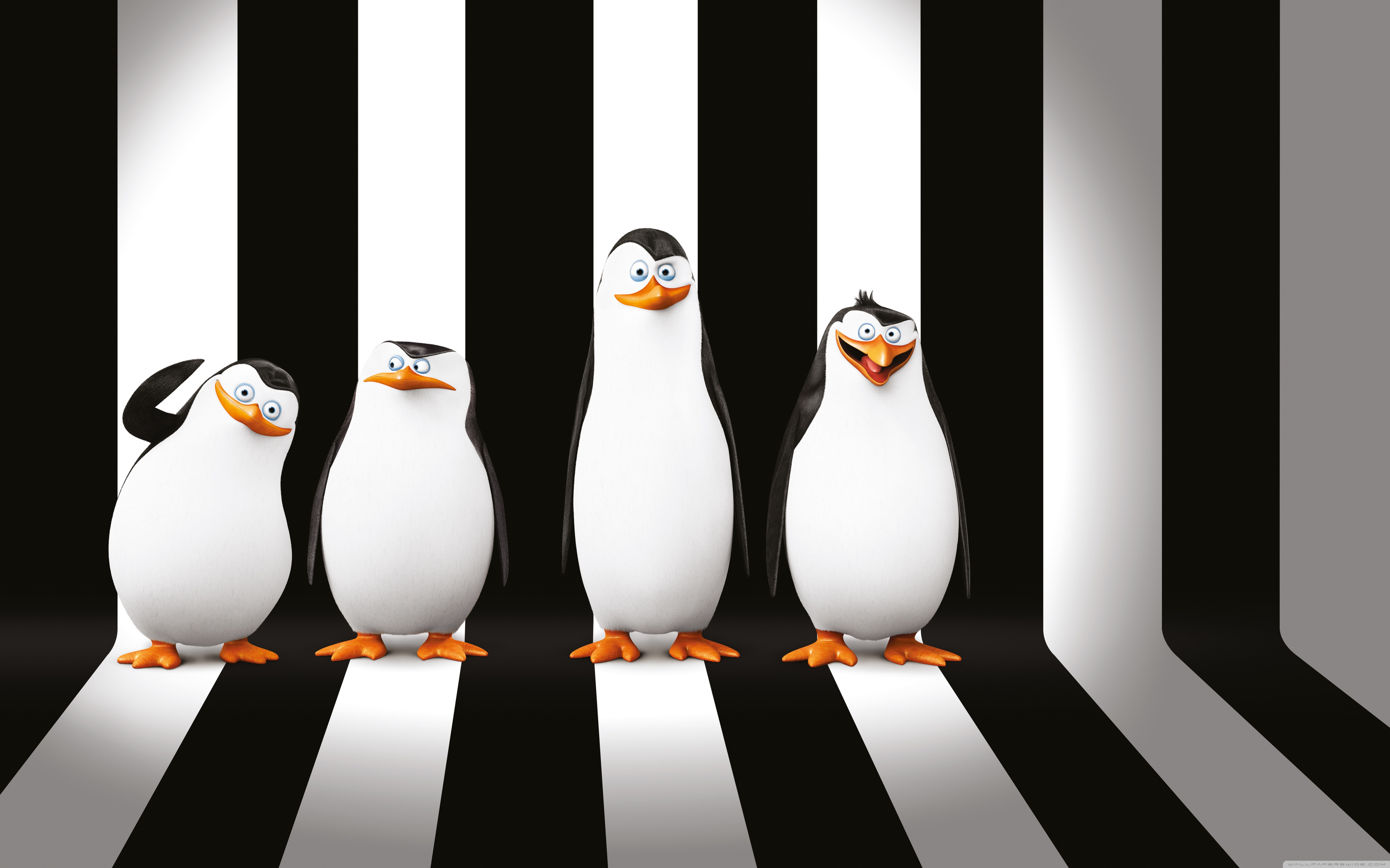 Penguins Of Madagascar - HD Wallpaper 
