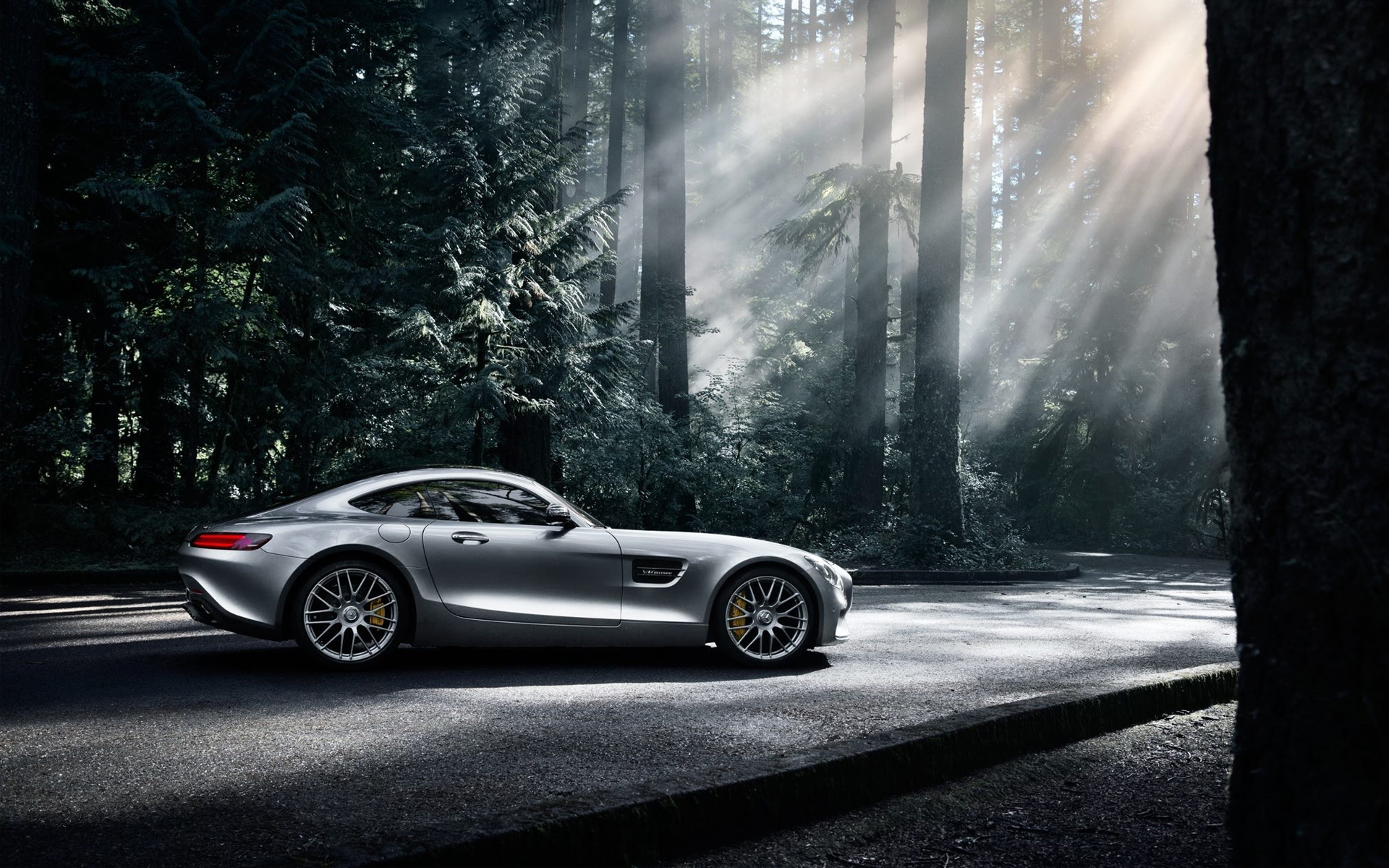 Mercedes Benz Amg Gt Wallpaper Hd - Mercedes Benz Cars In Forest - HD Wallpaper 