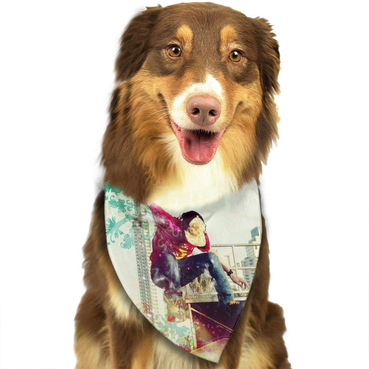 Dog Catches Something - HD Wallpaper 