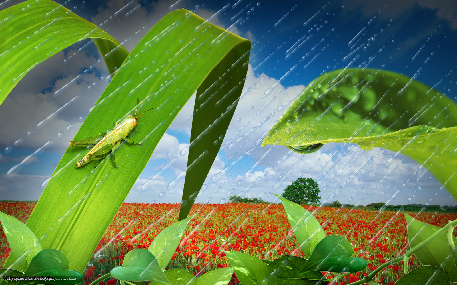 Image For Honey - Plantation - HD Wallpaper 