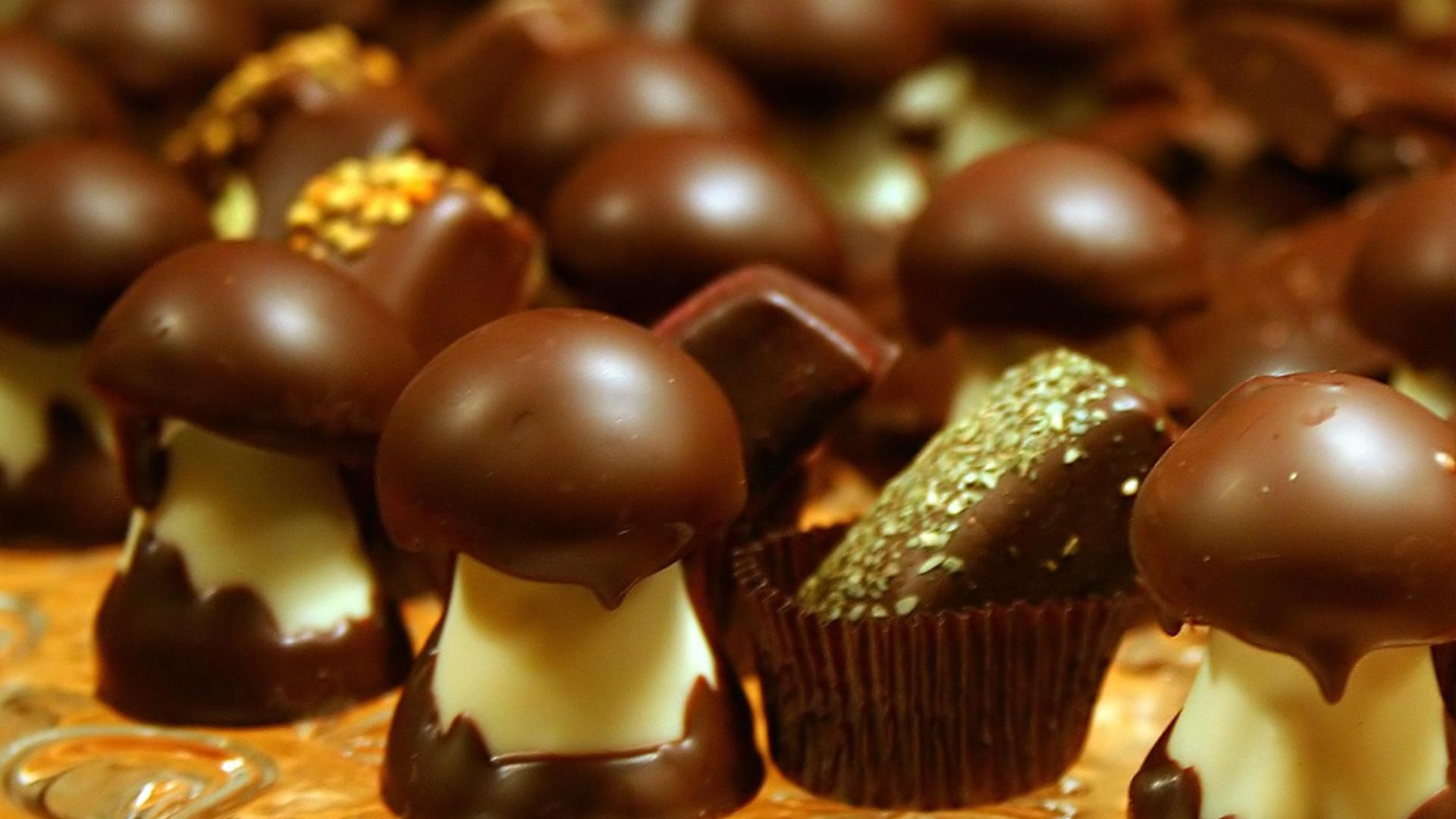 Magic Mushroom Covered In Chocolate - HD Wallpaper 
