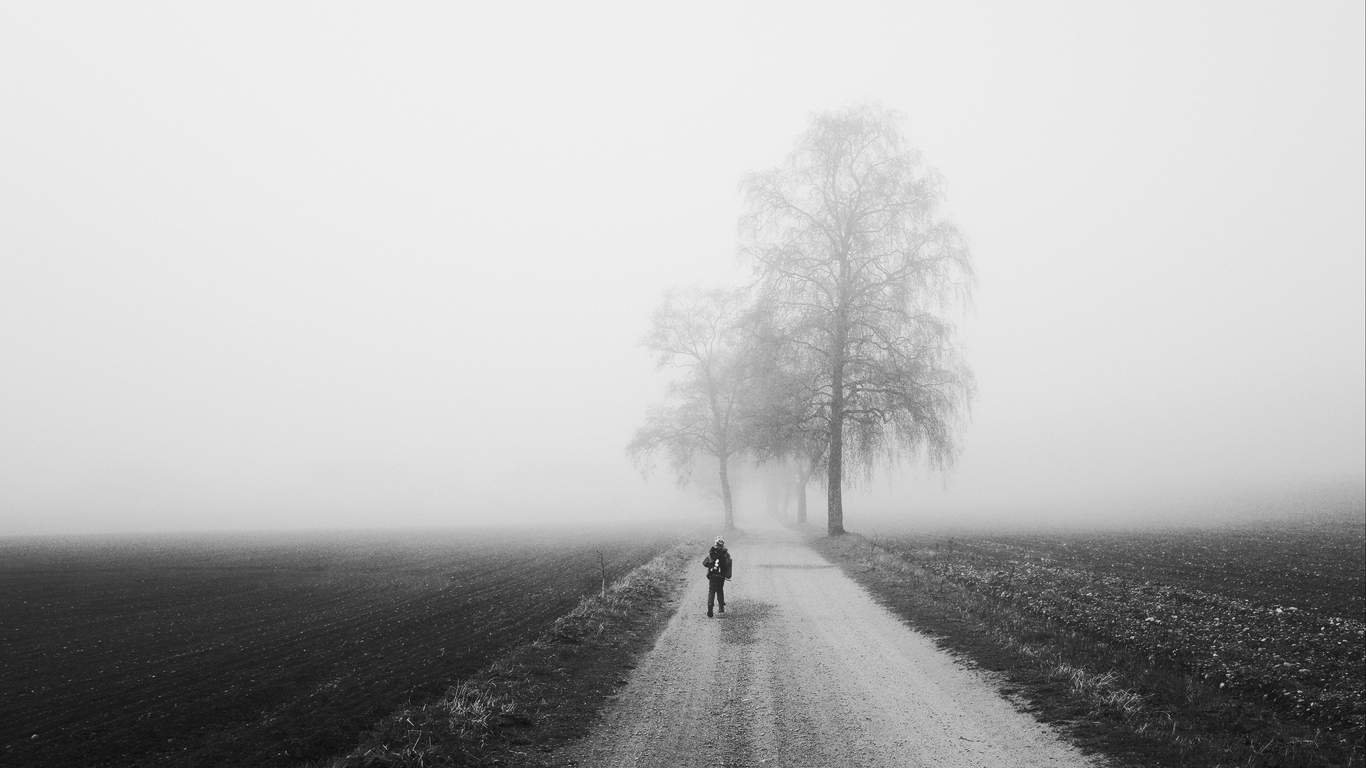 Wallpaper Fog Alone Bw Silhouette Road Trees Full Hd Alone Tree 1366x768 Wallpaper Teahub Io