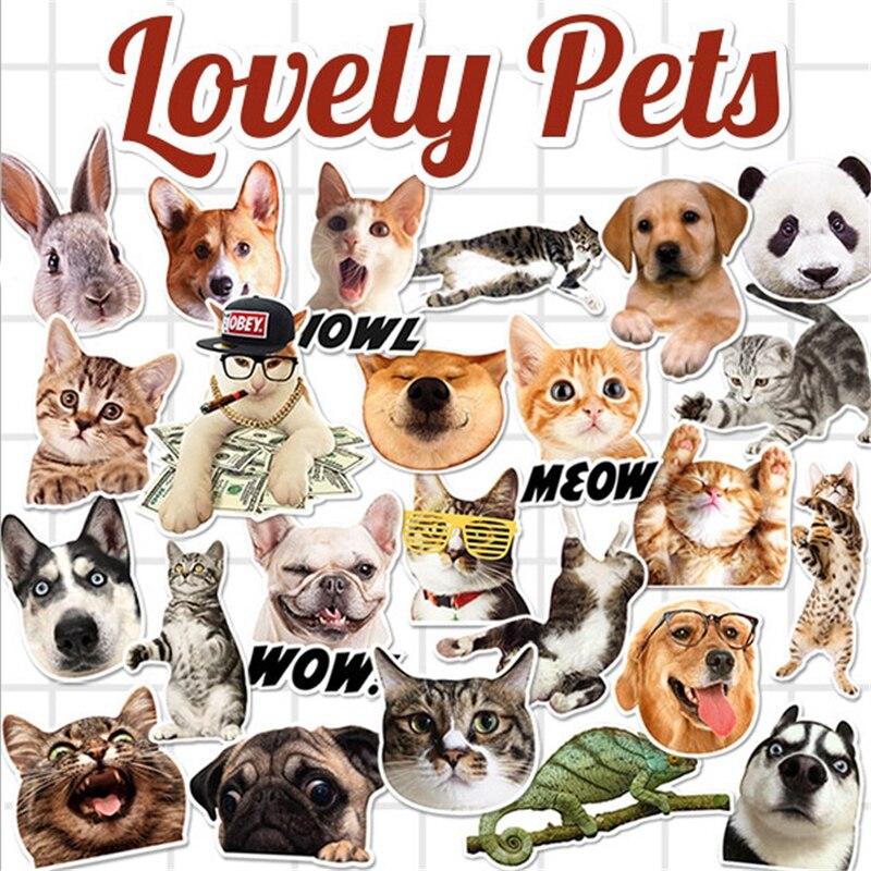 Pets Posters - HD Wallpaper 