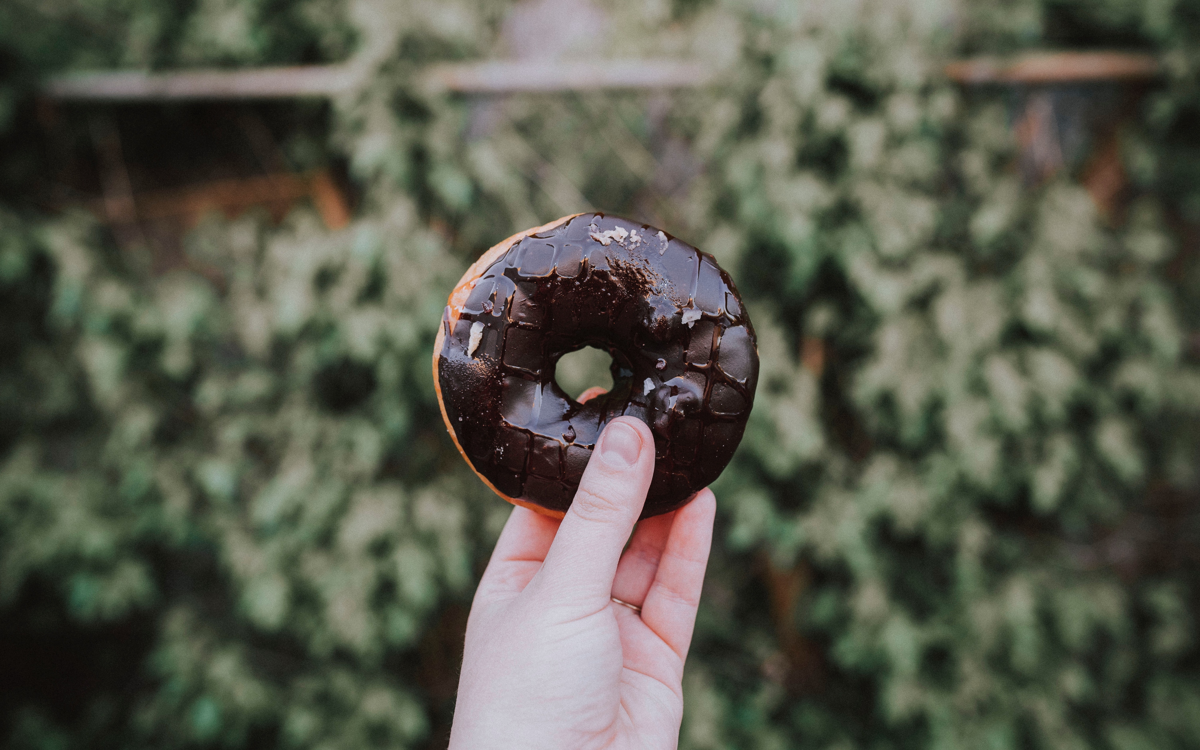 Wallpaper Donut, Hand, Chocolate - Donut Wallpaper 4k - HD Wallpaper 