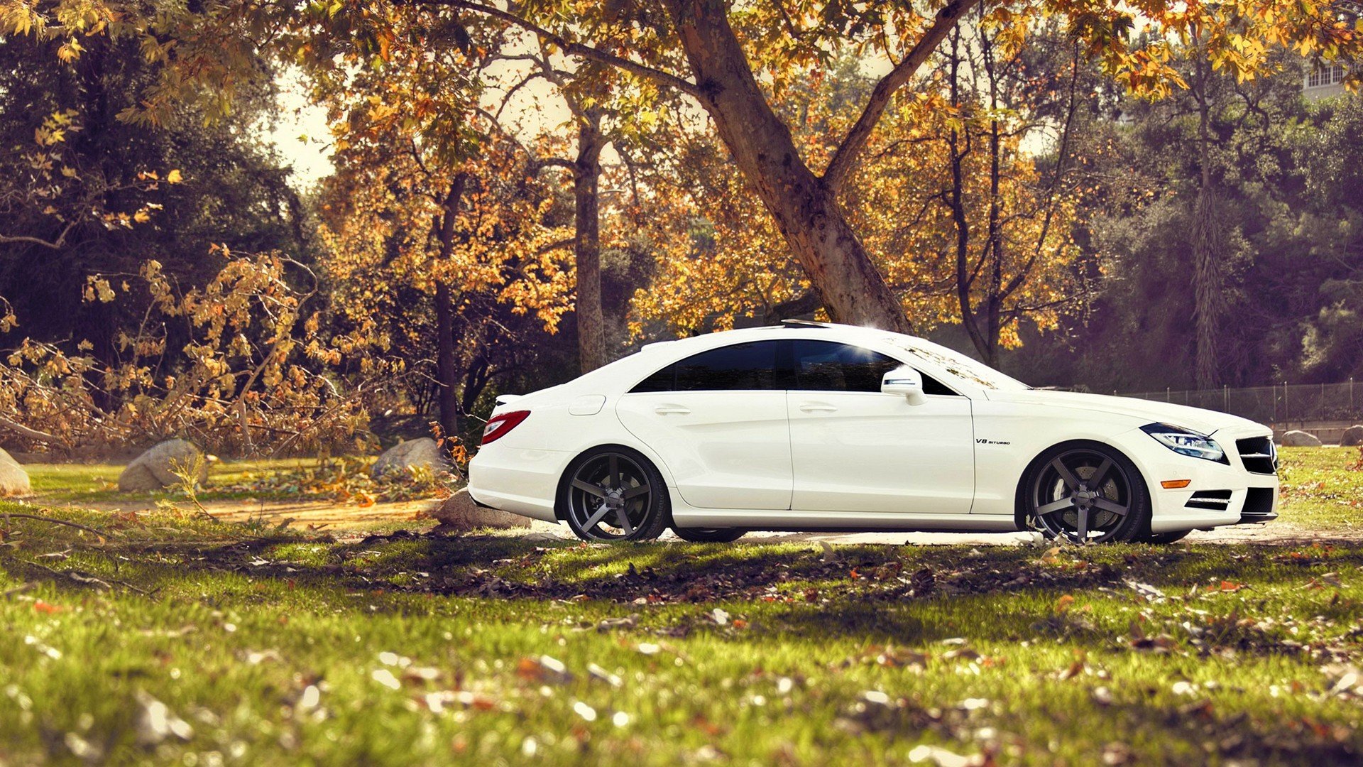 Mercedes Benz And Nature - HD Wallpaper 
