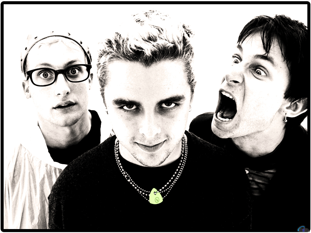 Green Day Wallpaper Funny - HD Wallpaper 