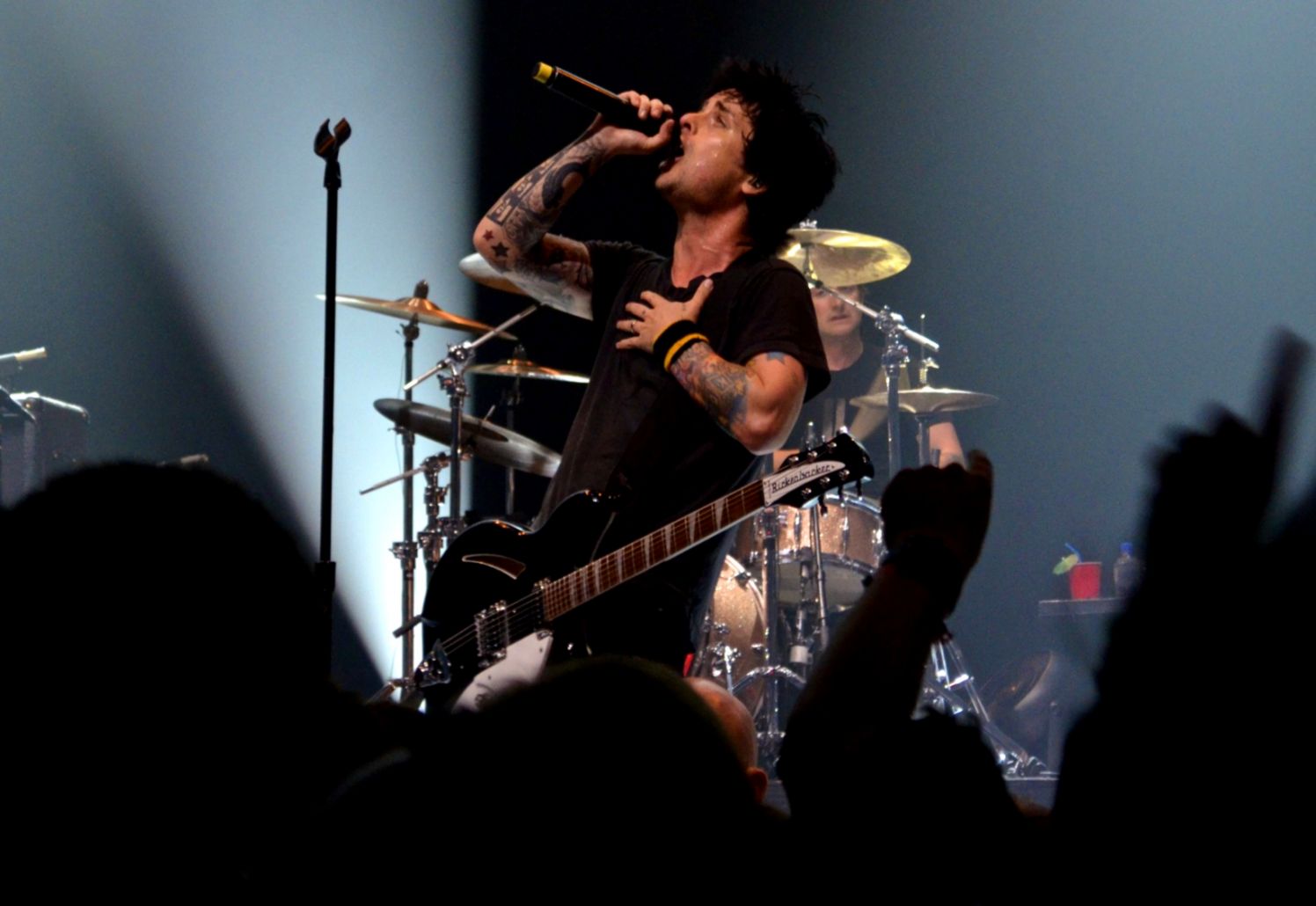 Billie Joe Armstrong Brutal Hd All Wallpapers Desktop - Rock Concert - HD Wallpaper 