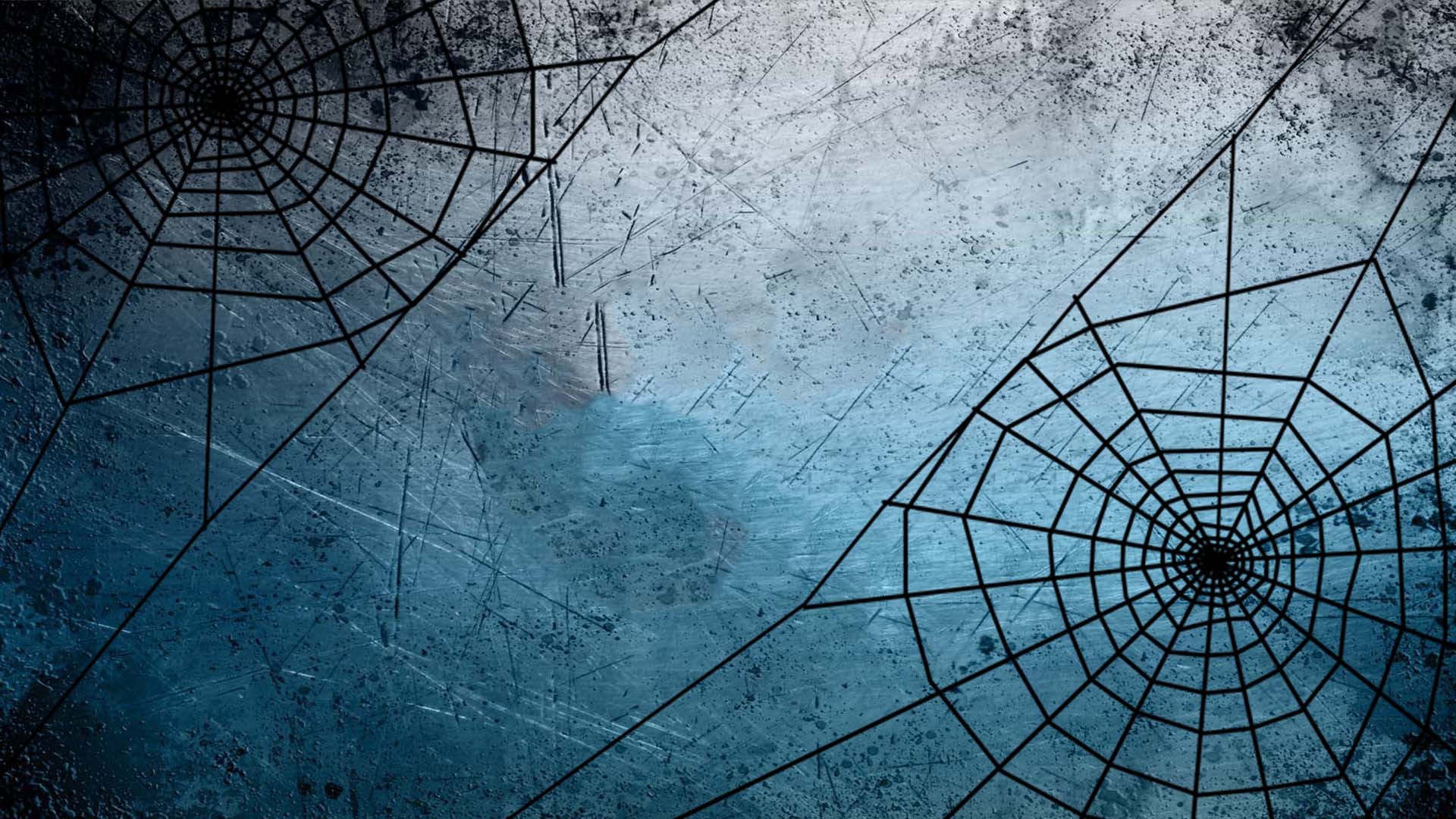 Halloween Spider Web Desktop Hd Wallpaper - Spider Web Clip Art - HD Wallpaper 