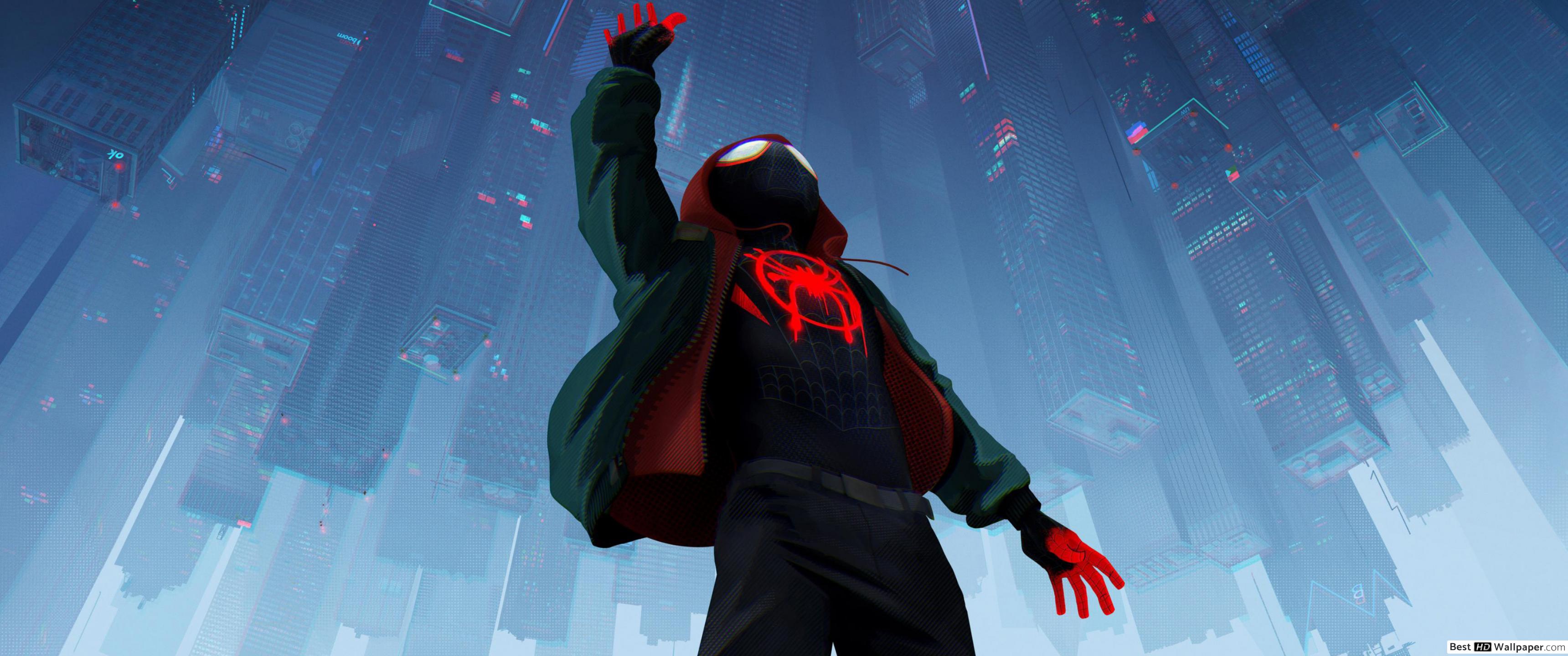 Spiderman Into The Spider Verse - HD Wallpaper 