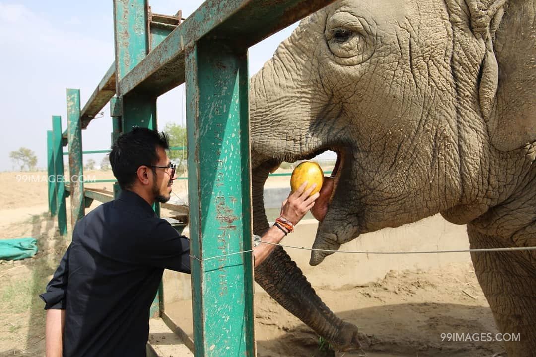 Yuzvendra Chahal Photoshoot Images & Hd Wallpapers - Yuzvendra Chahal - HD Wallpaper 