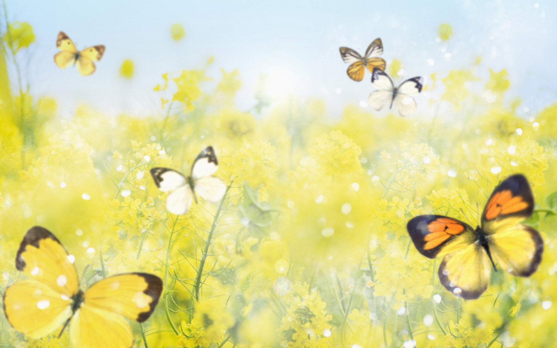 Yellow Butterfly Wallpaper - Butterfly With Yellow Flowers Background - HD Wallpaper 