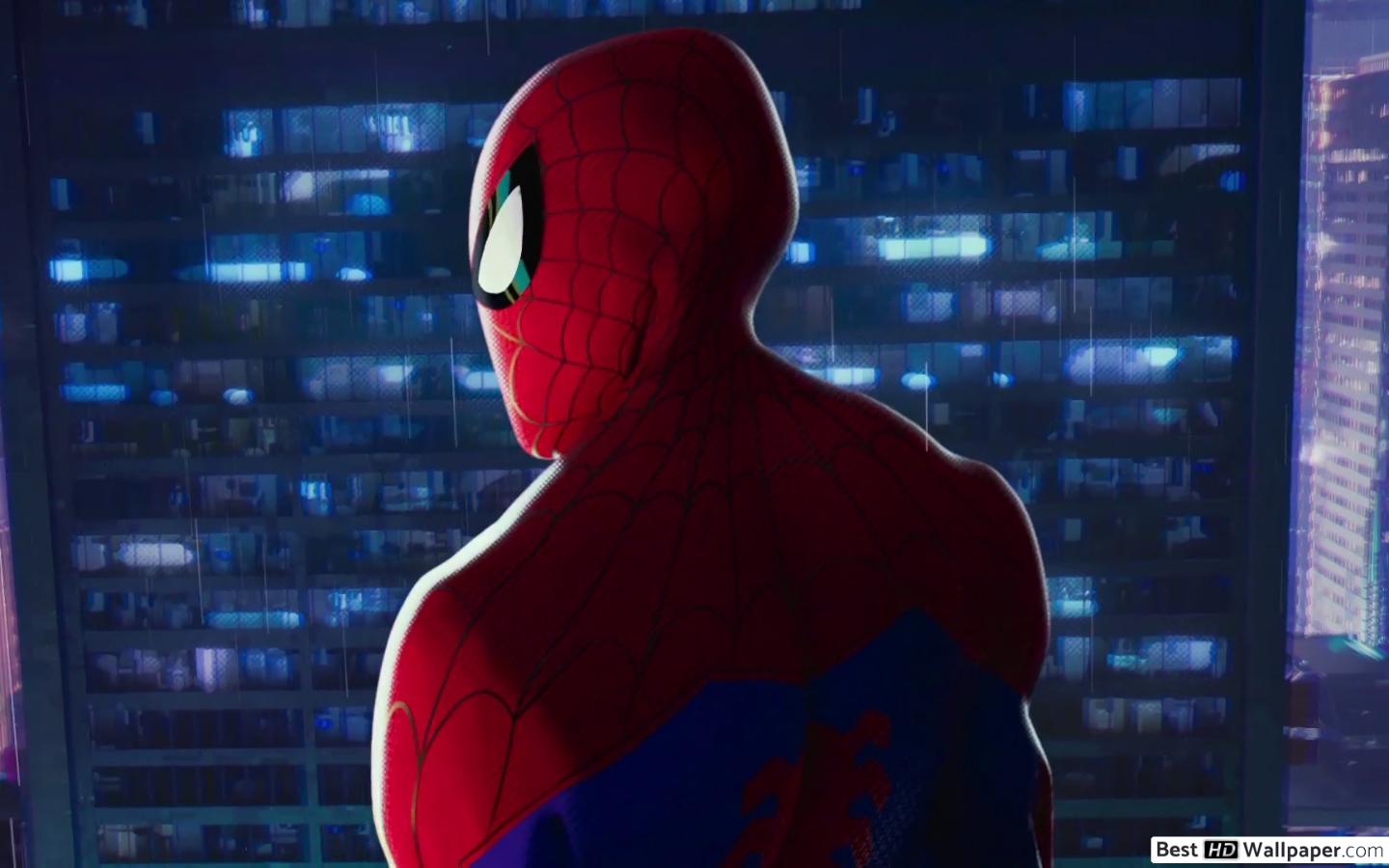 Spiderman Wallpaper Hd, Cool Wallpaper Hd, Images Of - Spider Man Into The Spider Verse Spiderman - HD Wallpaper 
