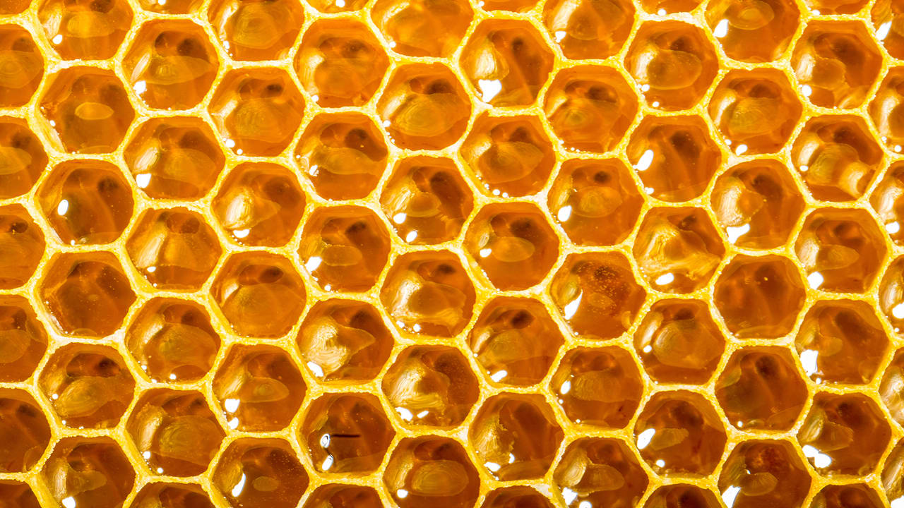 Images For Beehive Hdq Cover - Inside A Hive - HD Wallpaper 