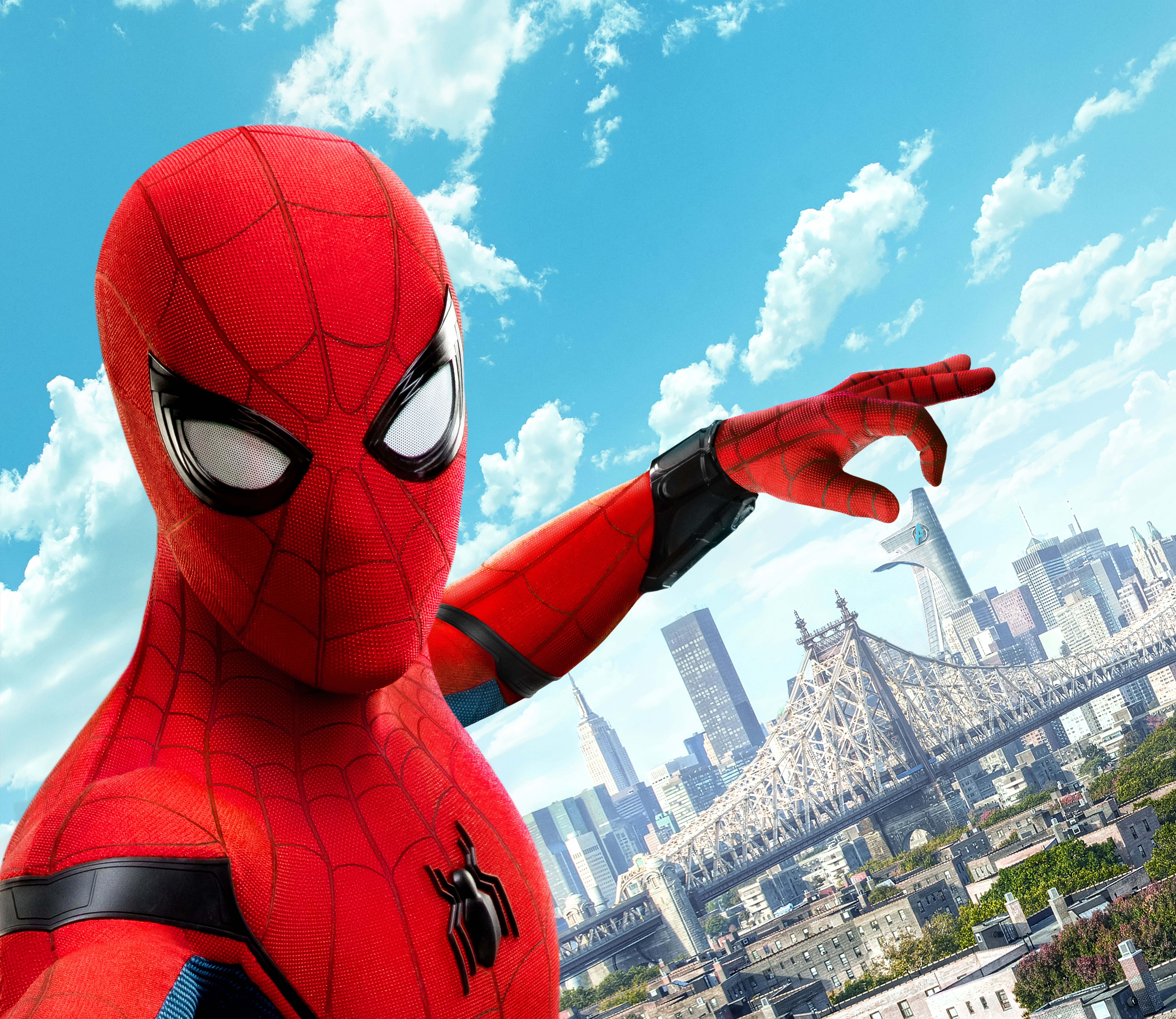 Spiderman Mobile Wallpaper - HD Wallpaper 