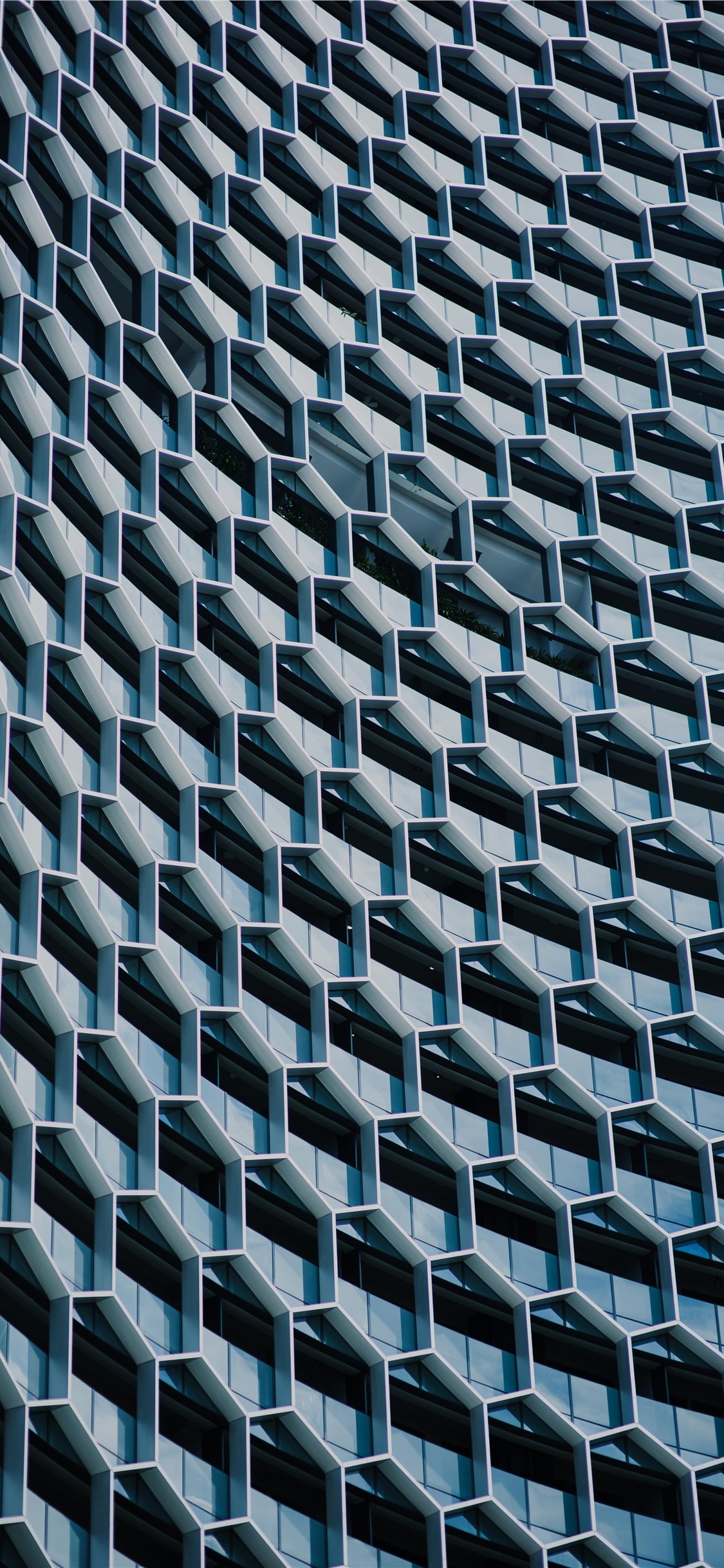 Best Free Iphone Backgrounds - 1125x2436 Wallpaper - teahub.io