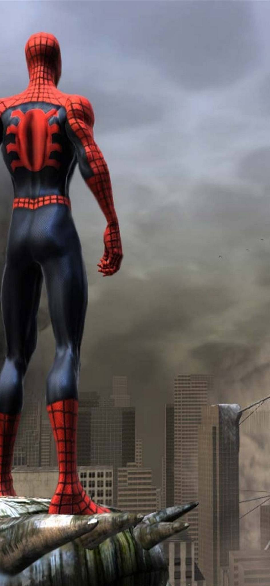 Spiderman Iphone 11 Pro Wallpaper - Spider Man Web Of Shadows - HD Wallpaper 