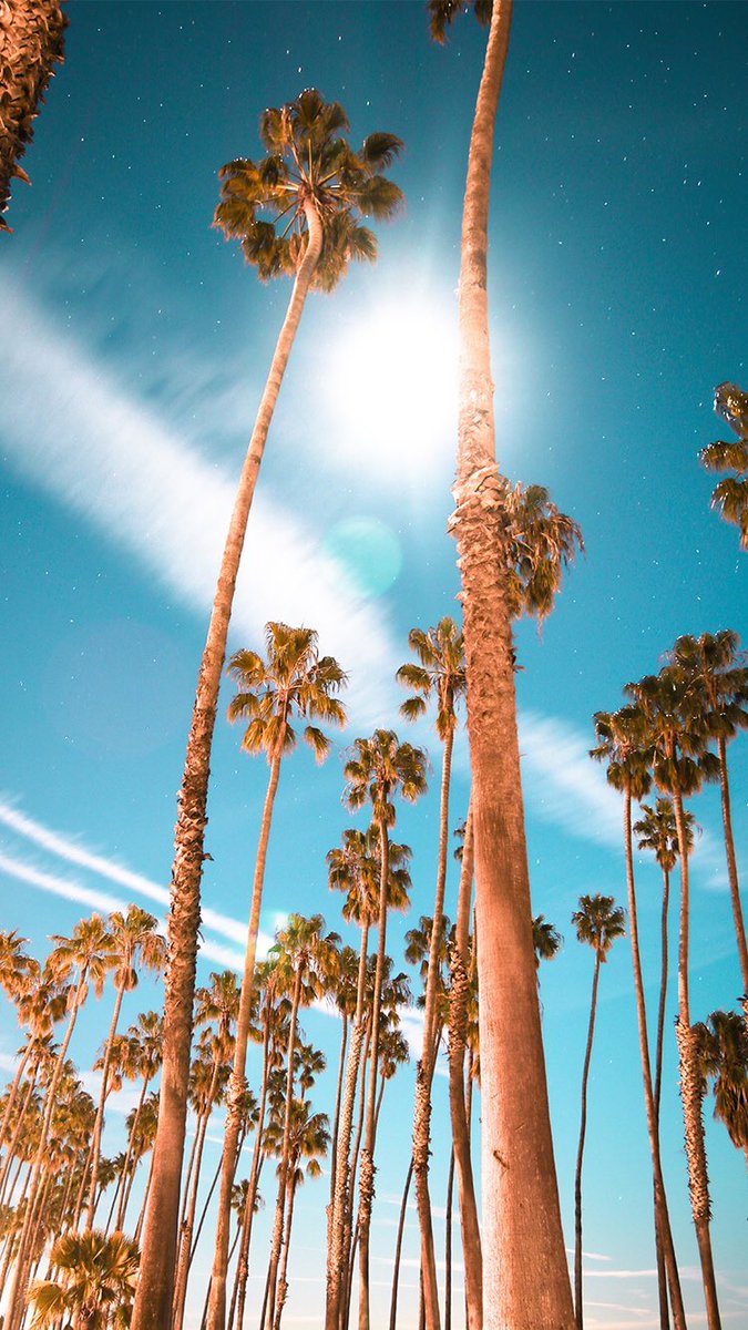 Santa Barbara Backpage