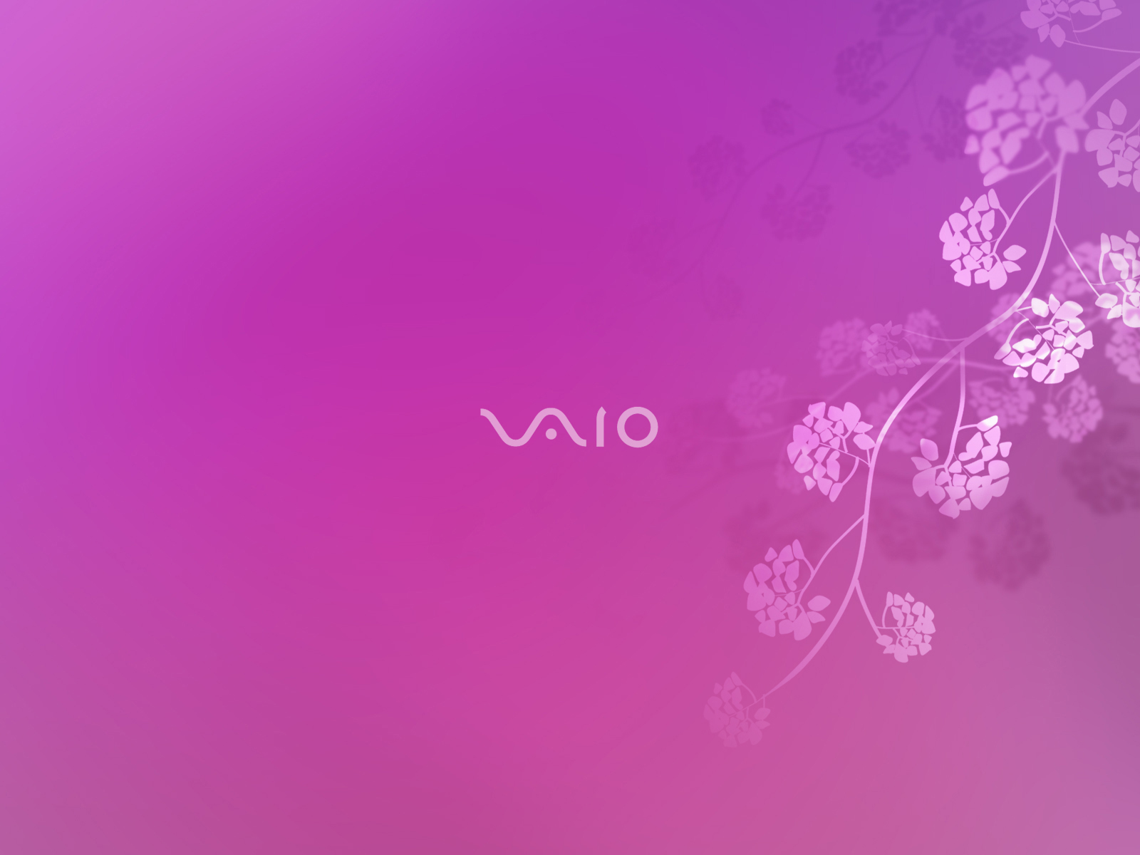 Sony Vaio - Sony Vaio Hd - HD Wallpaper 