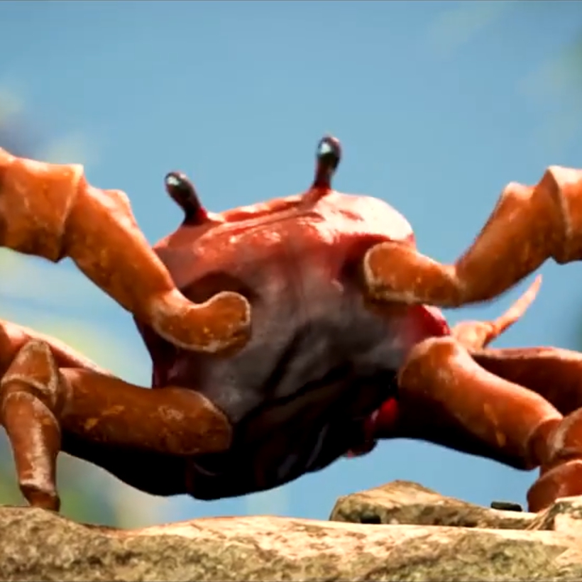 Crab Rave - HD Wallpaper 