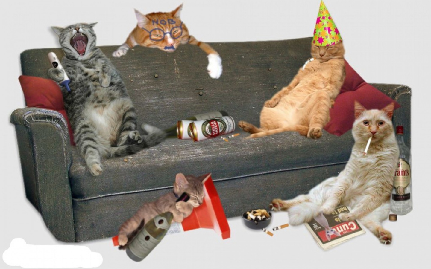 Happy New Year Vintage Cats - HD Wallpaper 