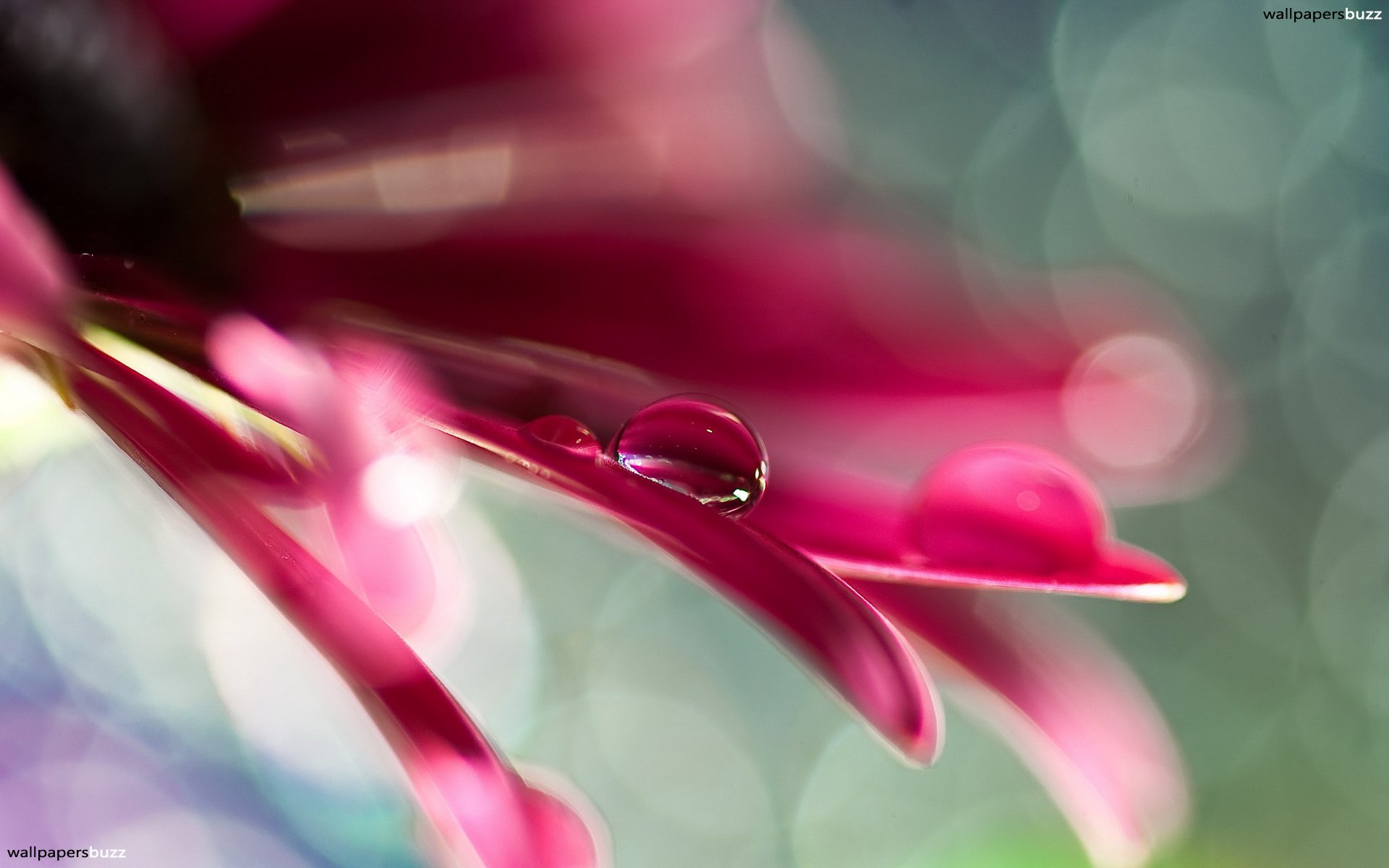 Cover Photos Water Drop - HD Wallpaper 