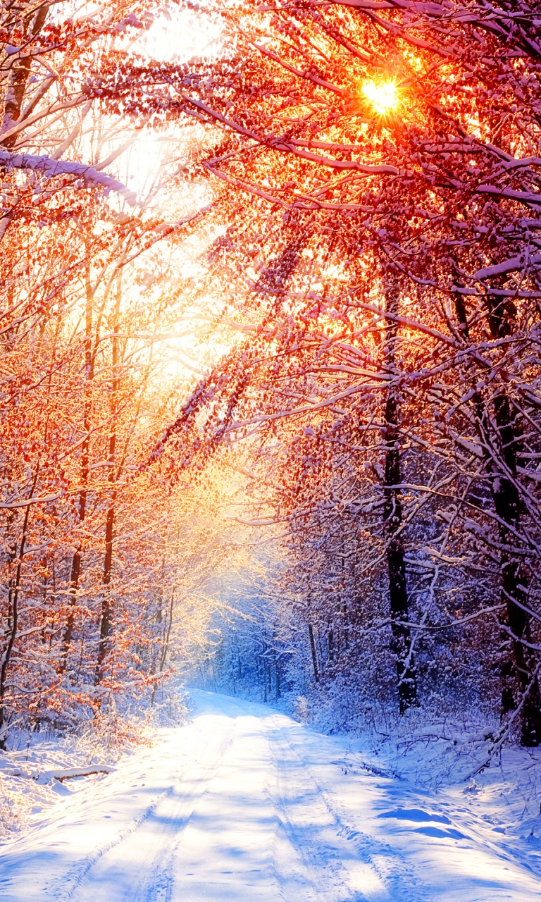 Winter Good Morning Images Nature - HD Wallpaper 