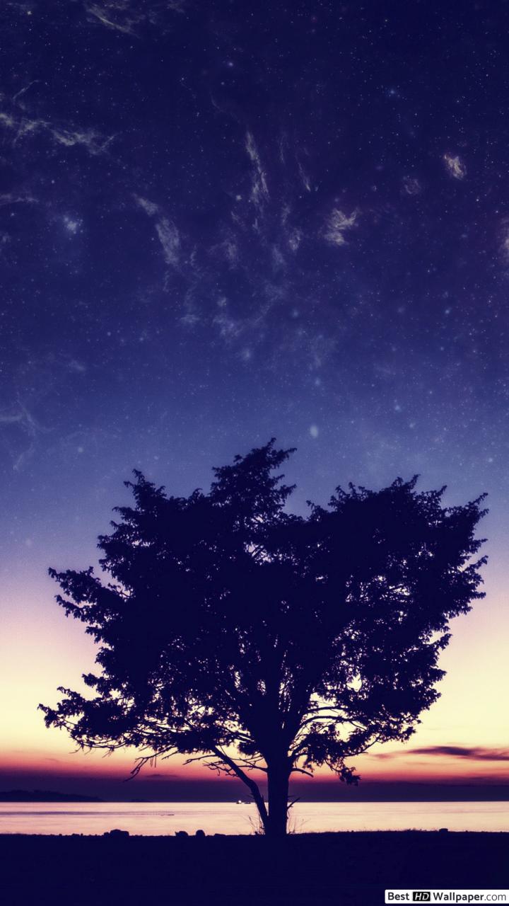 Hd Sunset Wallpapers For Iphone Hd - HD Wallpaper 