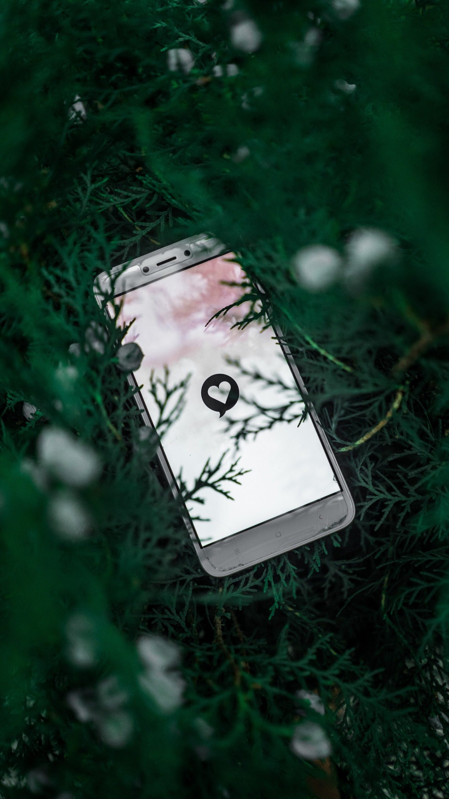 Wallpaper Phone, Screen, Heart, Symbol, Plant, Branches - Mobile Phone - HD Wallpaper 